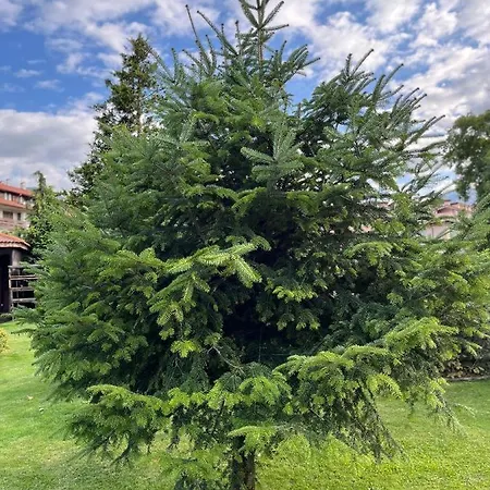 Royal Towers - 856 * Bansko